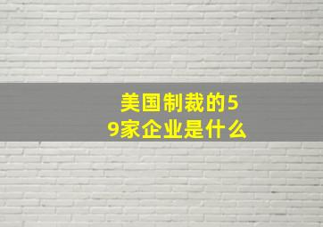 美国制裁的59家企业是什么