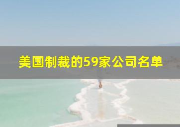 美国制裁的59家公司名单