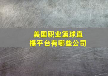 美国职业篮球直播平台有哪些公司