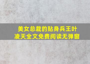 美女总裁的贴身兵王叶凌天全文免费阅读无弹窗