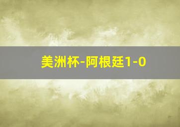 美洲杯-阿根廷1-0