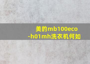 美的mb100eco-h01mh洗衣机何如