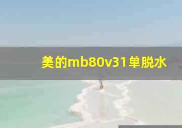 美的mb80v31单脱水