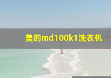 美的md100k1洗衣机