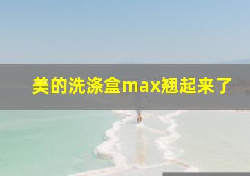 美的洗涤盒max翘起来了