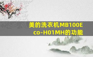 美的洗衣机MB100Eco-H01MH的功能