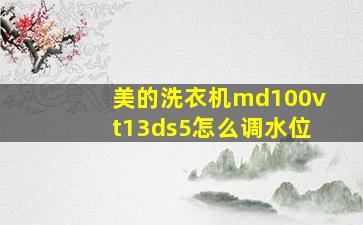 美的洗衣机md100vt13ds5怎么调水位