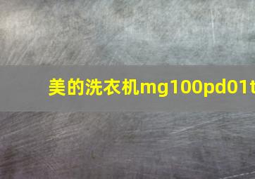 美的洗衣机mg100pd01t