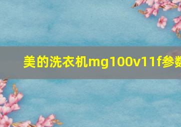 美的洗衣机mg100v11f参数