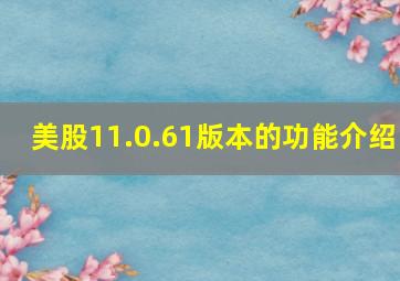 美股11.0.61版本的功能介绍