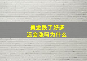 美金跌了好多还会涨吗为什么