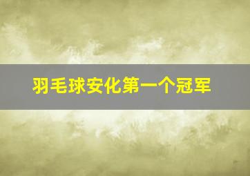 羽毛球安化第一个冠军