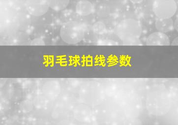 羽毛球拍线参数