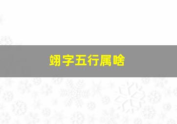 翊字五行属啥