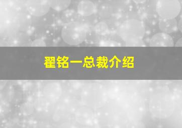 翟铭一总裁介绍