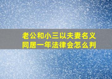 老公和小三以夫妻名义同居一年法律会怎么判