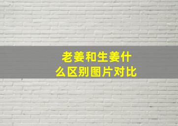 老姜和生姜什么区别图片对比