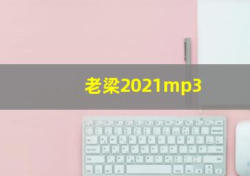 老梁2021mp3