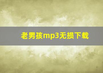 老男孩mp3无损下载