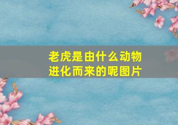 老虎是由什么动物进化而来的呢图片