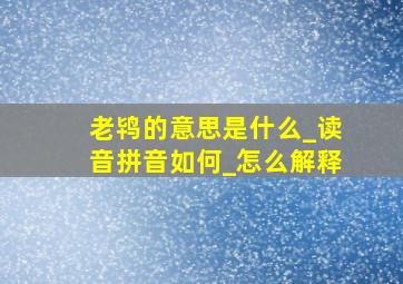 老鸨的意思是什么_读音拼音如何_怎么解释