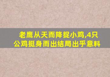 老鹰从天而降捉小鸡,4只公鸡挺身而出结局出乎意料