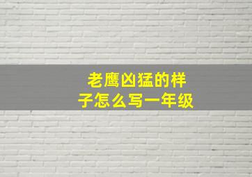 老鹰凶猛的样子怎么写一年级