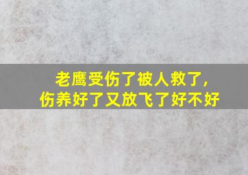 老鹰受伤了被人救了,伤养好了又放飞了好不好