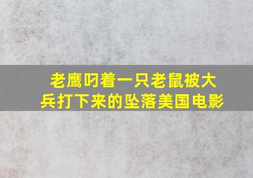 老鹰叼着一只老鼠被大兵打下来的坠落美国电影