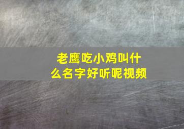 老鹰吃小鸡叫什么名字好听呢视频