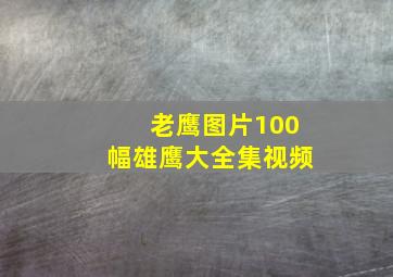 老鹰图片100幅雄鹰大全集视频