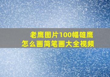 老鹰图片100幅雄鹰怎么画简笔画大全视频