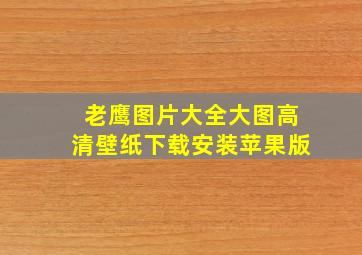 老鹰图片大全大图高清壁纸下载安装苹果版