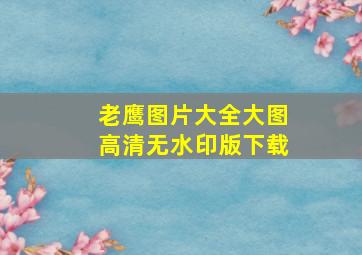 老鹰图片大全大图高清无水印版下载