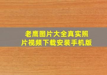 老鹰图片大全真实照片视频下载安装手机版