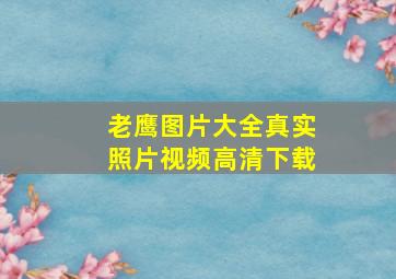 老鹰图片大全真实照片视频高清下载