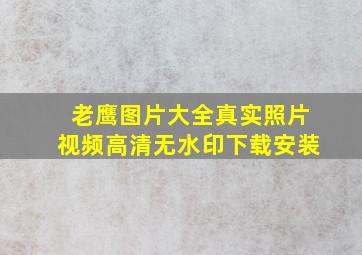 老鹰图片大全真实照片视频高清无水印下载安装