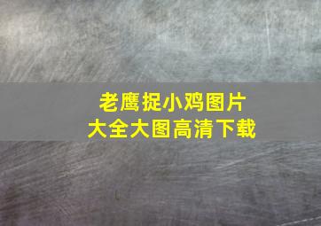 老鹰捉小鸡图片大全大图高清下载