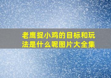 老鹰捉小鸡的目标和玩法是什么呢图片大全集