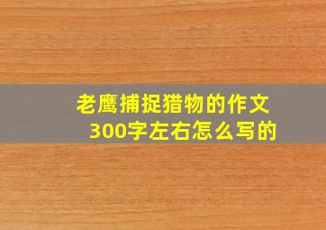 老鹰捕捉猎物的作文300字左右怎么写的