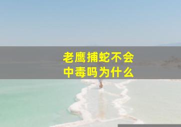 老鹰捕蛇不会中毒吗为什么