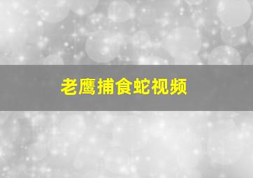 老鹰捕食蛇视频