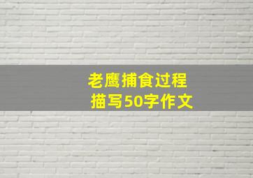 老鹰捕食过程描写50字作文