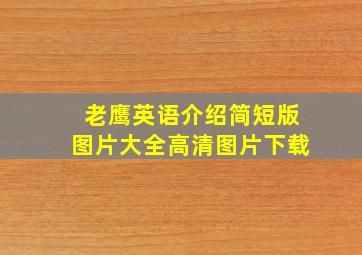 老鹰英语介绍简短版图片大全高清图片下载