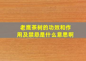 老鹰茶树的功效和作用及禁忌是什么意思啊