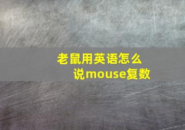 老鼠用英语怎么说mouse复数