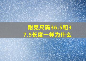 耐克尺码36.5和37.5长度一样为什么