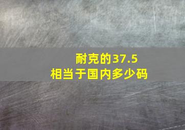 耐克的37.5相当于国内多少码