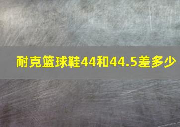 耐克篮球鞋44和44.5差多少