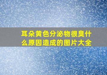 耳朵黄色分泌物很臭什么原因造成的图片大全